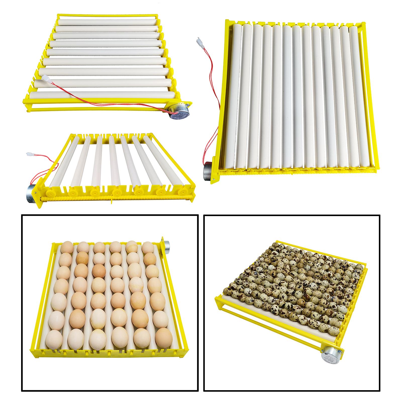 Quail Egg Incubator - Plastic Egg Incubator Tray Automatic Egg