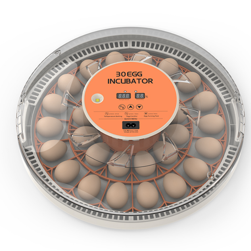 Quail Egg Incubator - STLF30 Eggs Home Use Incubator Fully