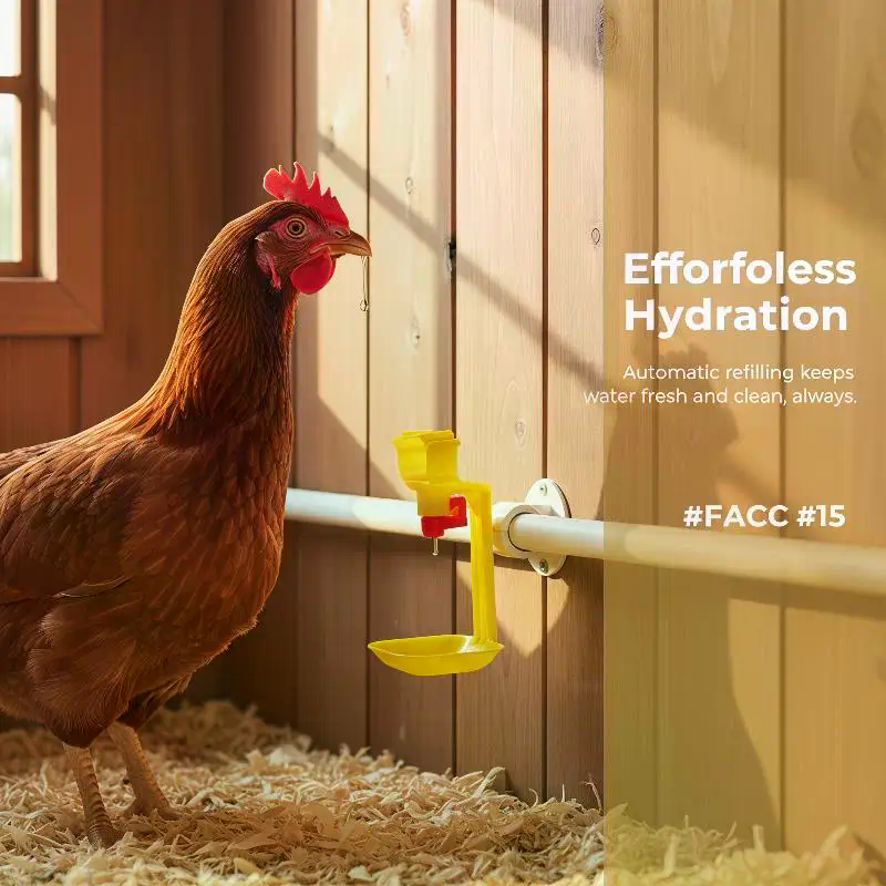 Chicken Nipple Drinker - 5/10Pcs Automatic Chicken Water Drinking Cup