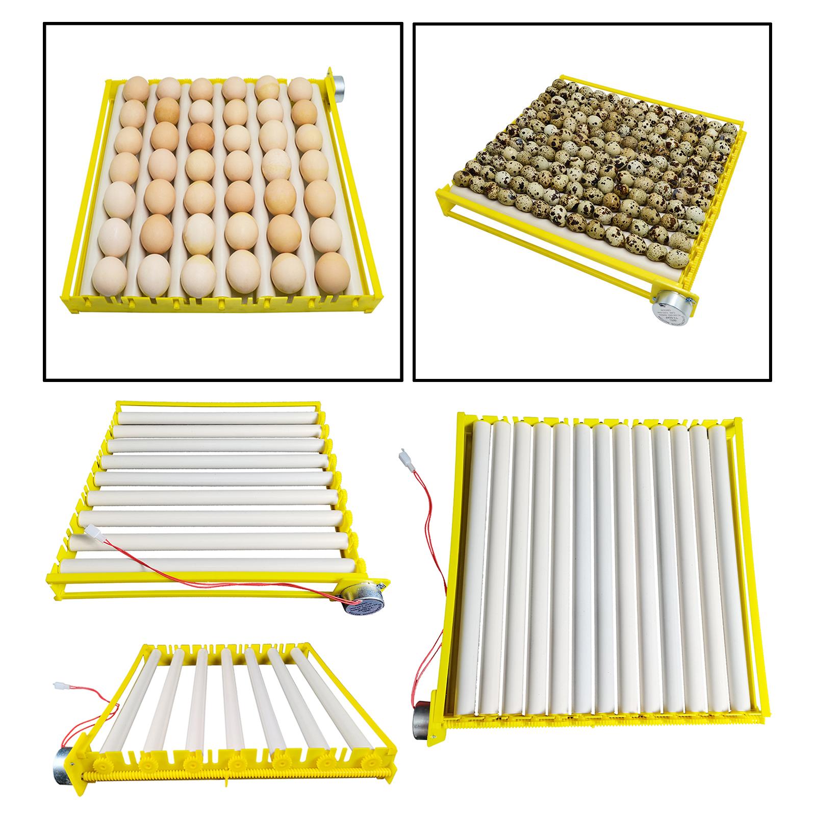 Plastic Egg Incubator Tray Aut - Quail Egg Incubator 리뷰 및 가격