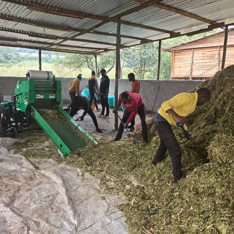 China Corn Silage Grass Harves - Silage Baler Machine 리뷰 및 가격