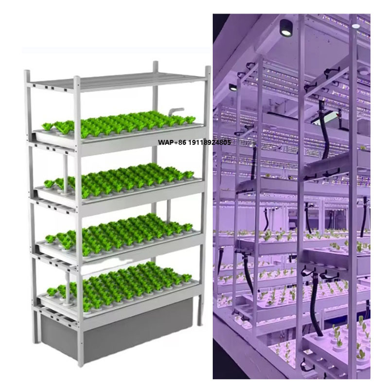 Vertical Farm Hydroponic Tower - Hydroponic Farming Agriculture 리뷰 및 가격