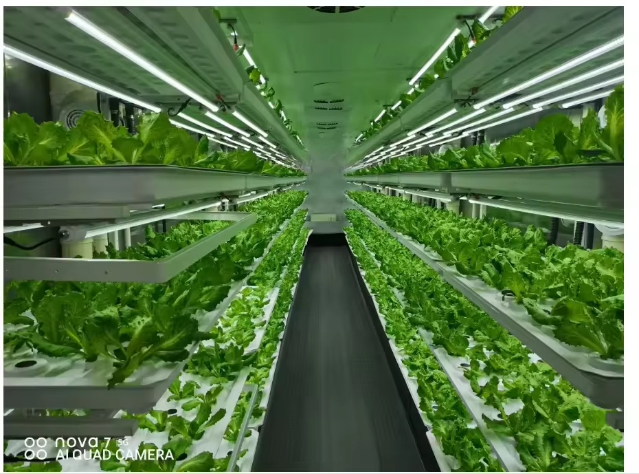 Vertical Farm Hydroponic Tower - Hydroponic Farming Agriculture 리뷰 및 가격