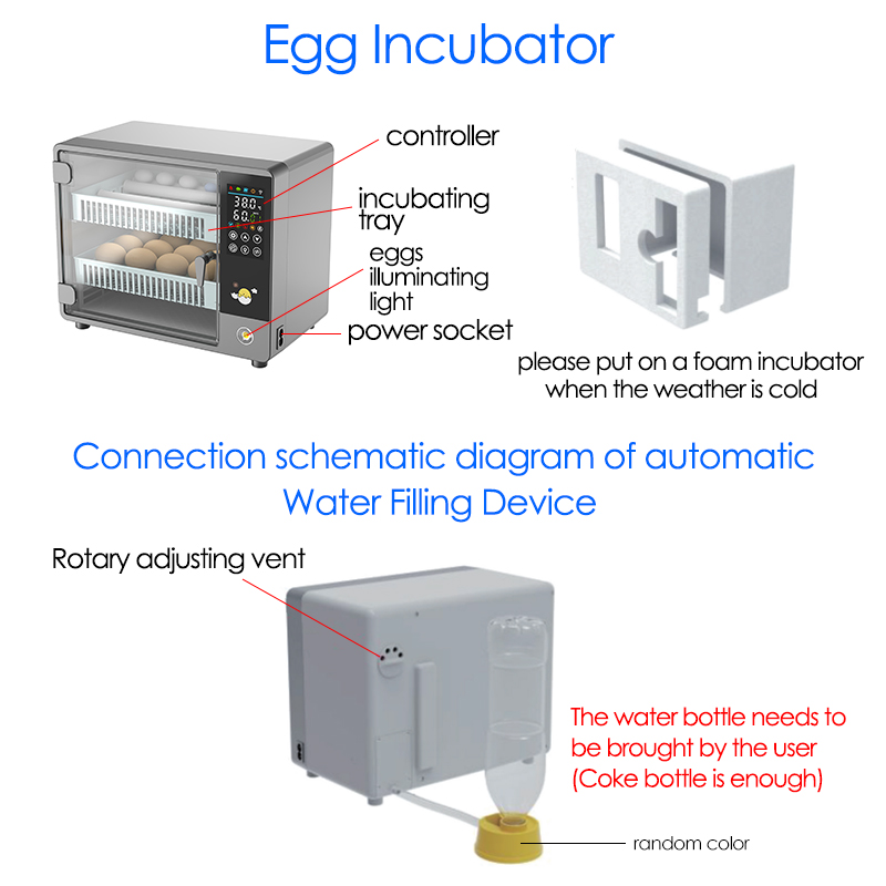 24 Eggs Full Automatic Turning - Quail Egg Incubator 리뷰 및 가격
