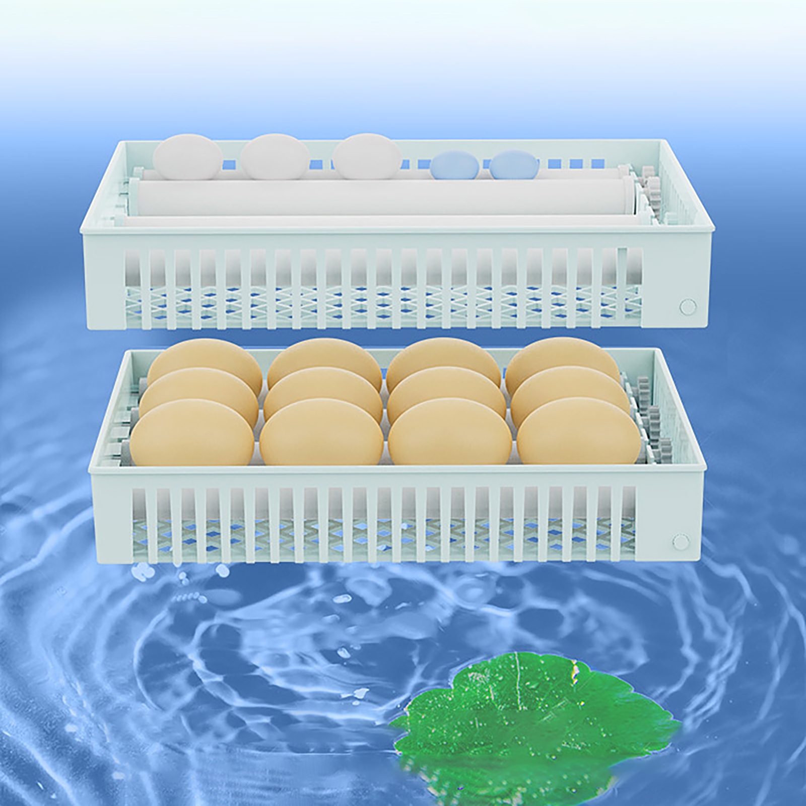 24 Eggs Full Automatic Turning - Quail Egg Incubator 리뷰 및 가격