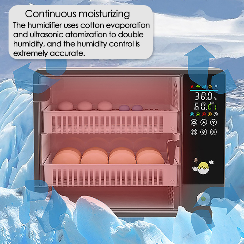 24 Eggs Full Automatic Turning - Quail Egg Incubator 리뷰 및 가격