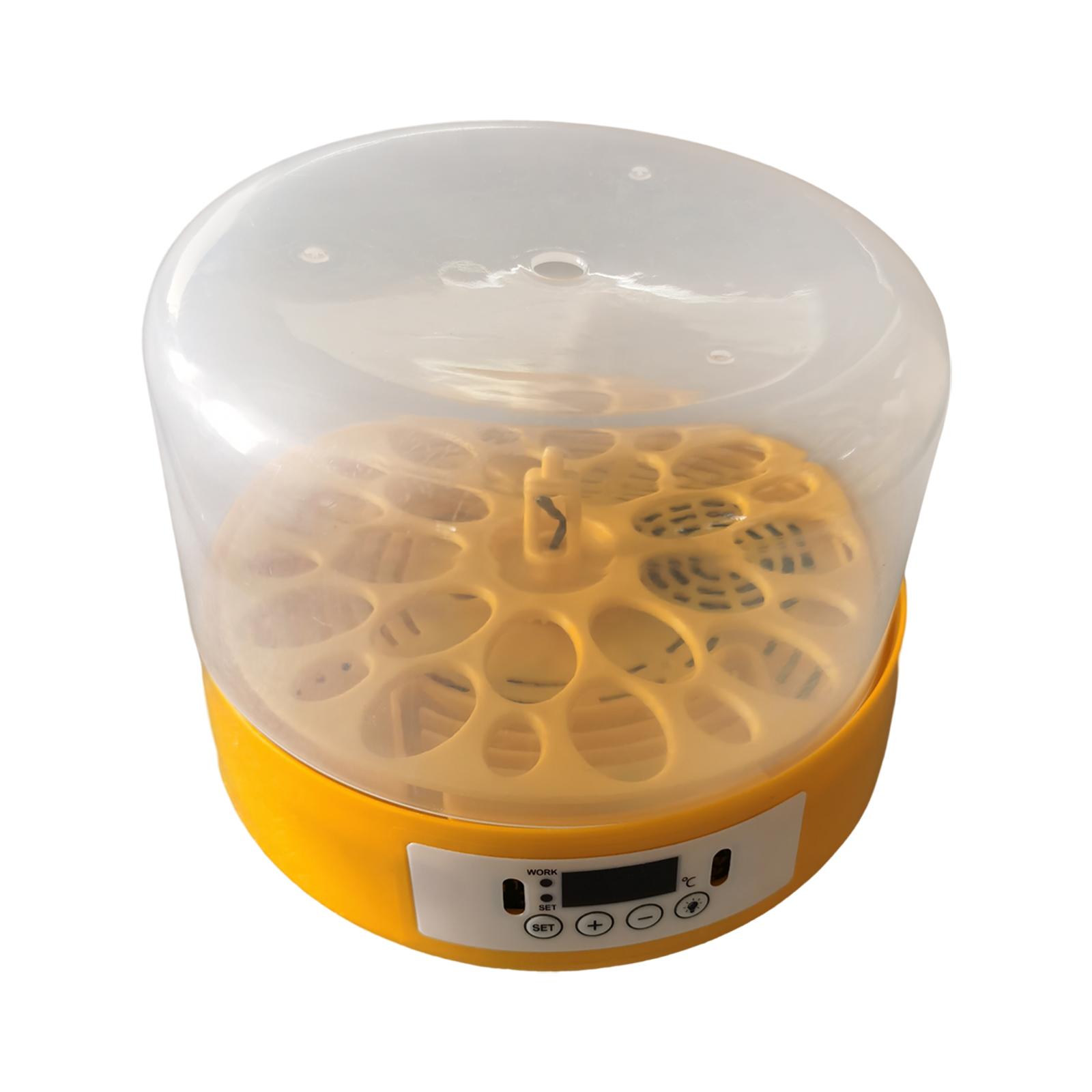 Egg Incubator Egg Turner Egg H - Quail Egg Incubator 리뷰 및 가격