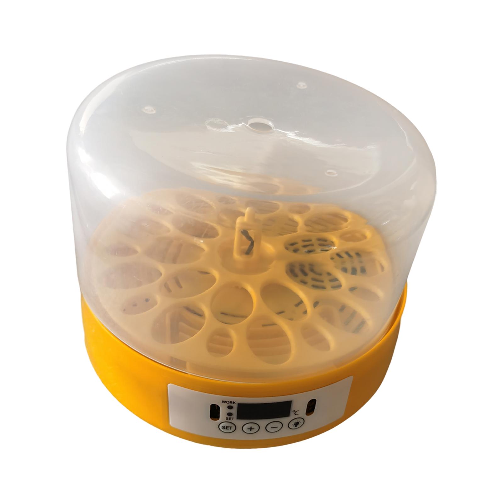 Egg Incubator Egg Turner Egg H - Quail Egg Incubator 리뷰 및 가격