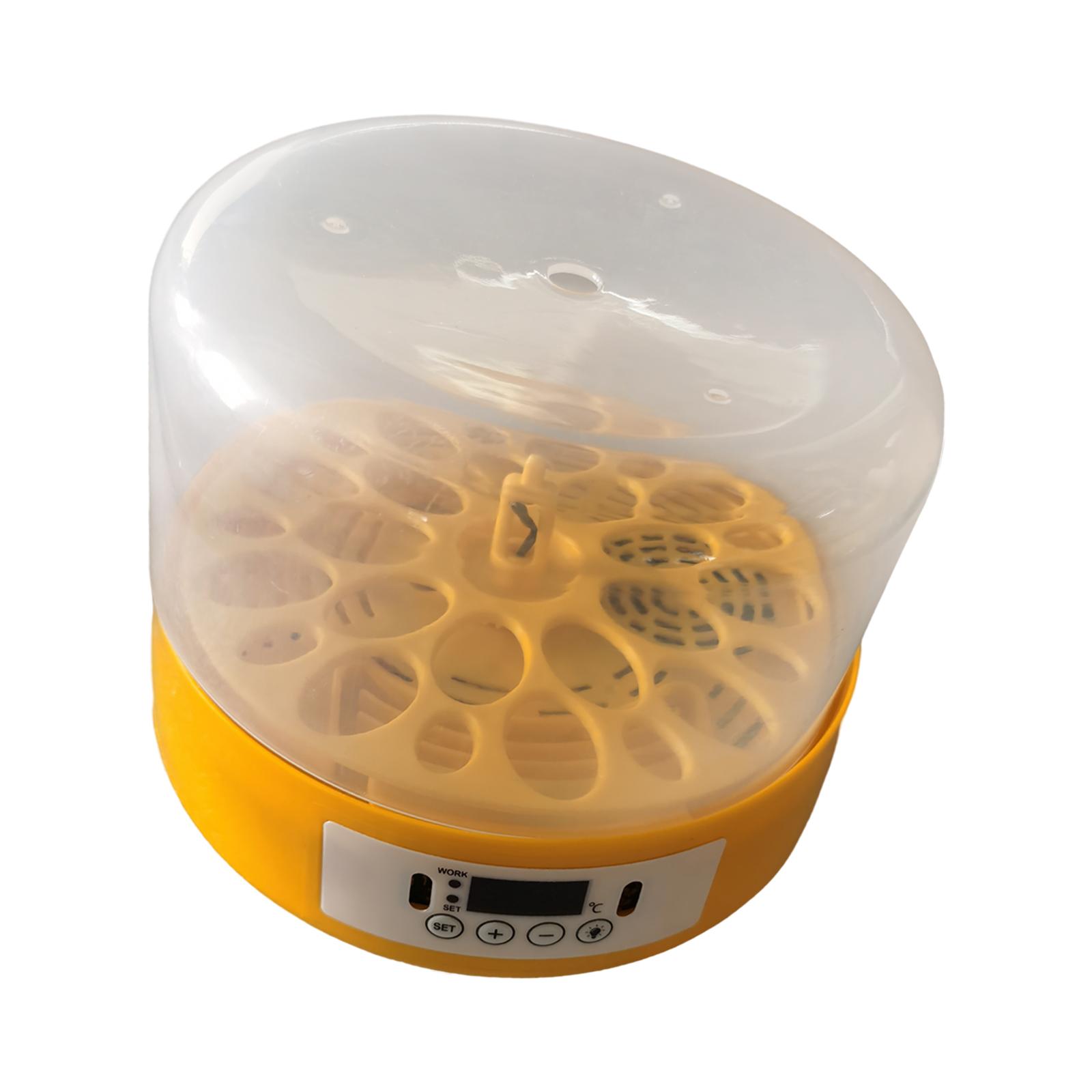 Egg Incubator Egg Turner Egg H - Quail Egg Incubator 리뷰 및 가격