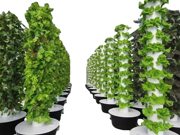 Agricultural greenhouses verti - Hydroponic Farming Agriculture 리뷰 및 가격