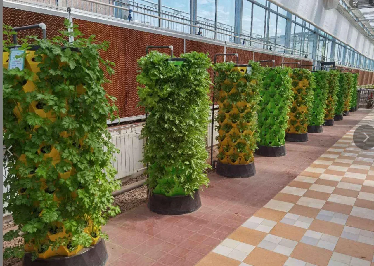 Agricultural greenhouses verti - Hydroponic Farming Agriculture 리뷰 및 가격