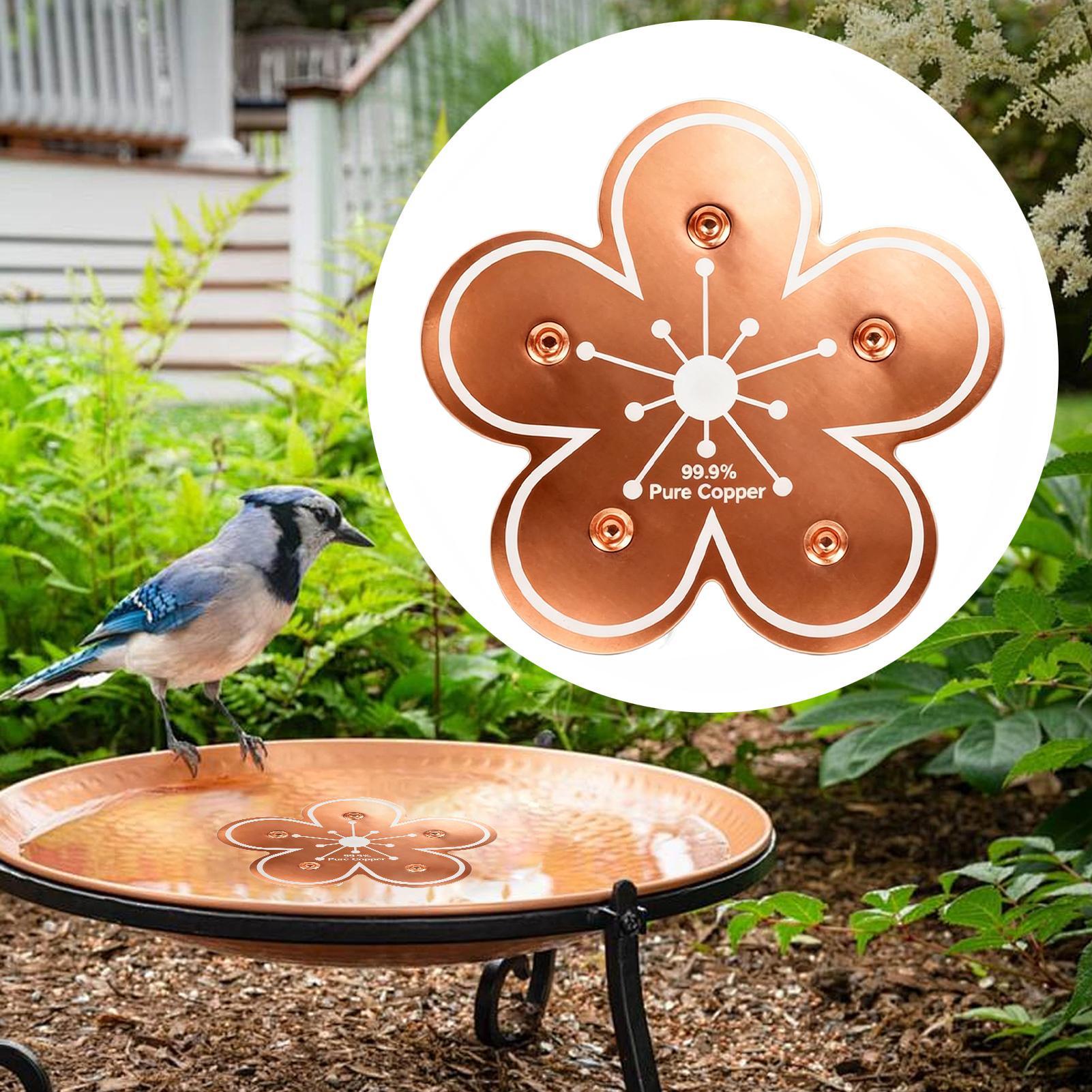 Bird bath tray Copper Bird Bat - Farming And Agriculture 리뷰 및 가격