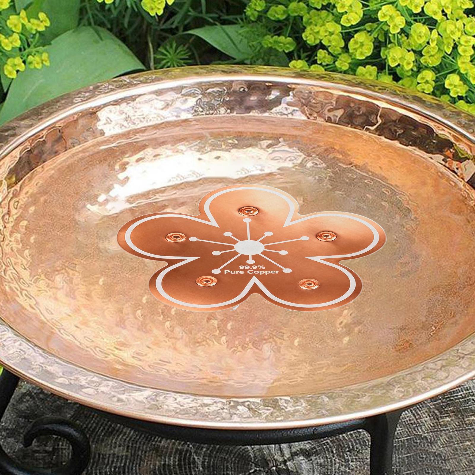 Bird bath tray Copper Bird Bat - Farming And Agriculture 리뷰 및 가격
