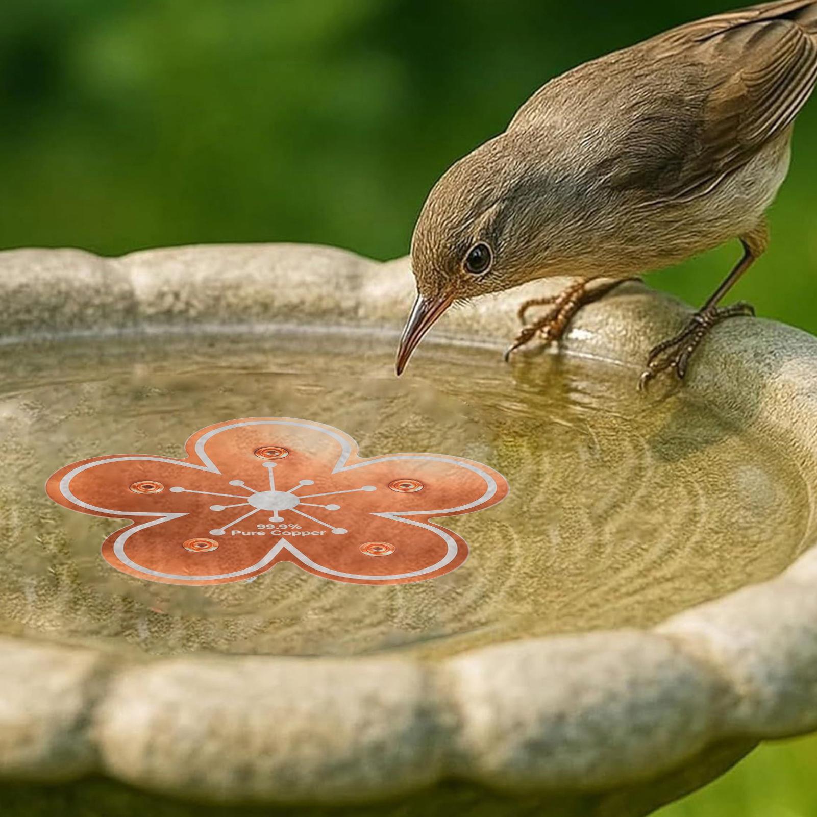 Bird bath tray Copper Bird Bat - Farming And Agriculture 리뷰 및 가격