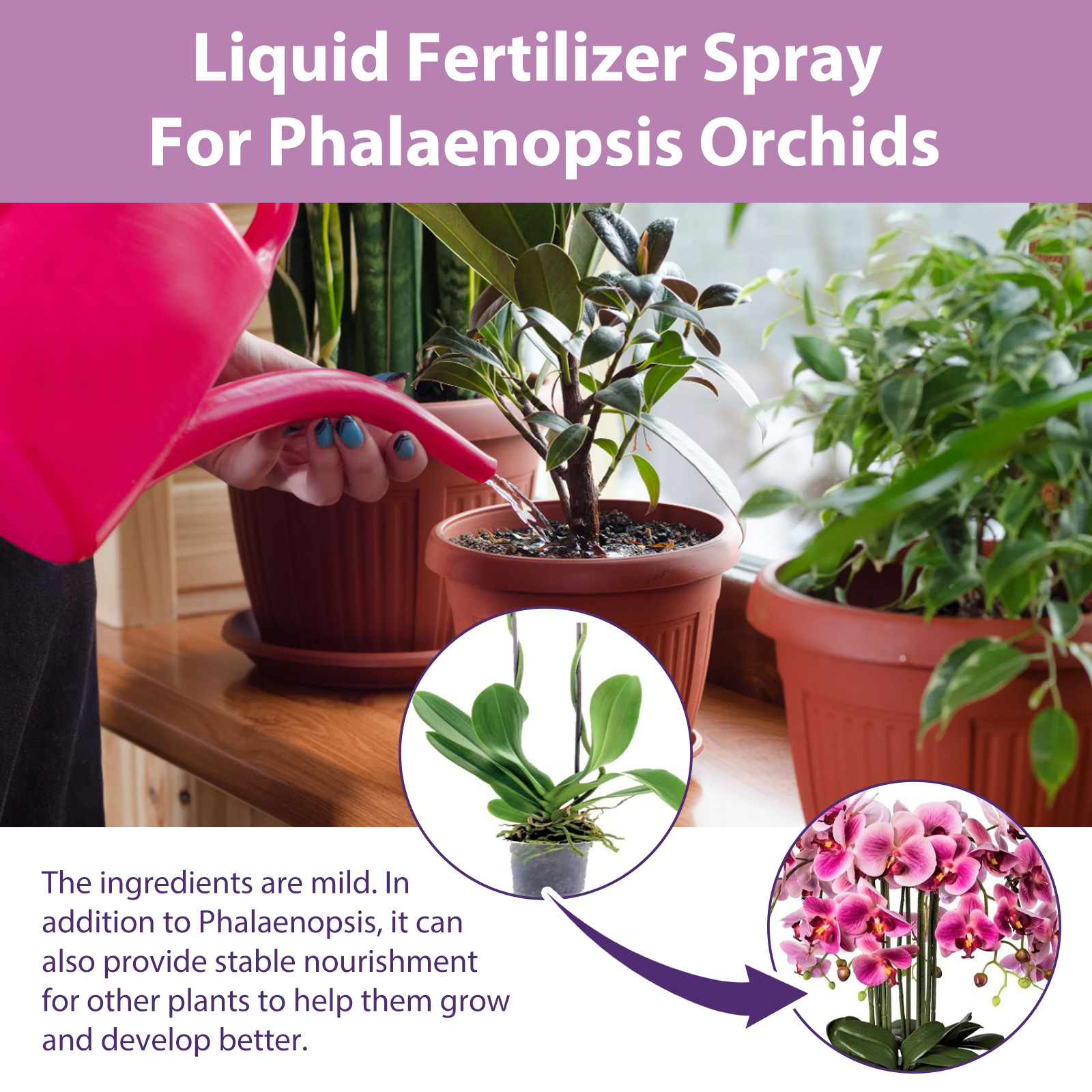 100ml Orchid Bloom Booster Spr - Orchard Sprayer Tractor 리뷰 및 가격