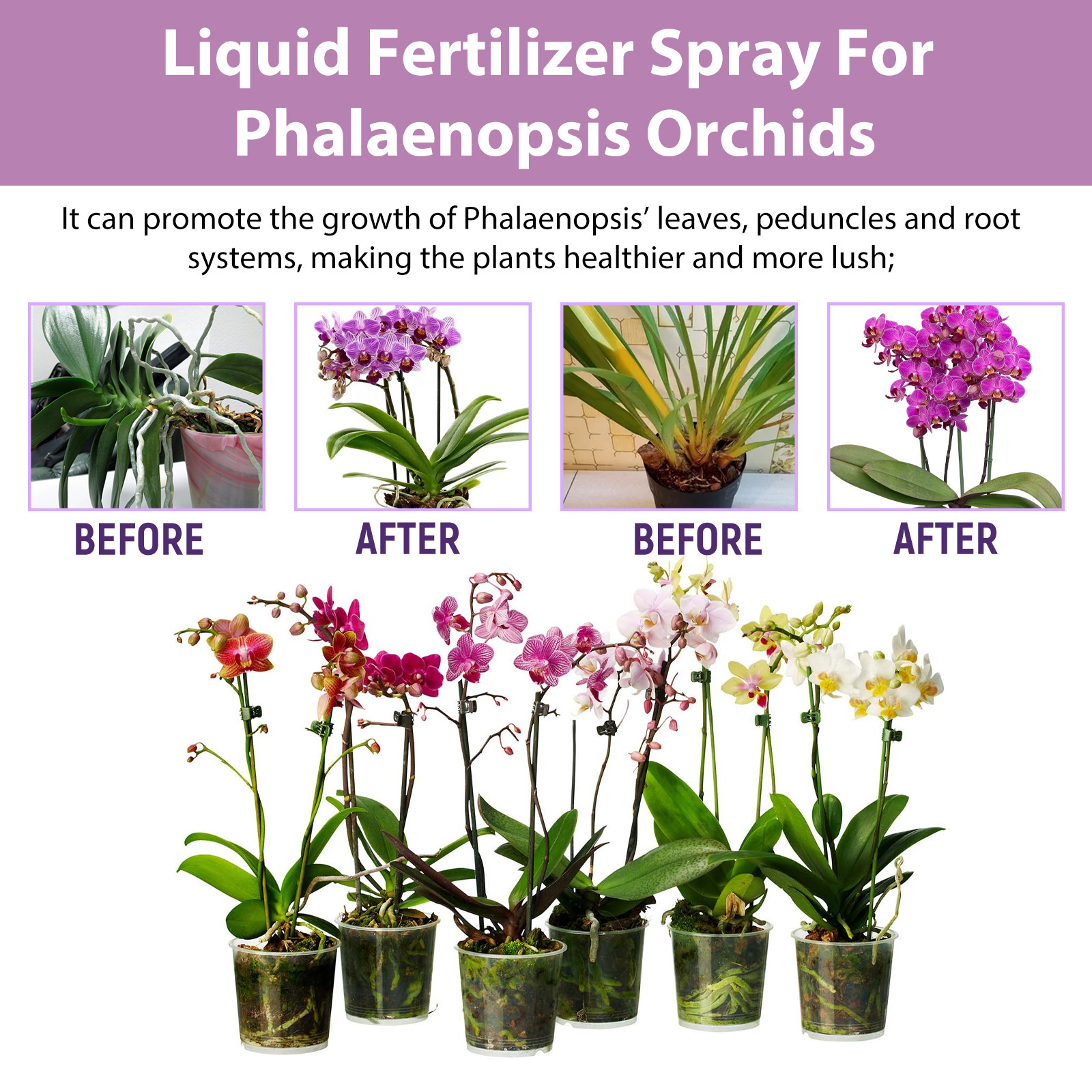 100ml Orchid Bloom Booster Spr - Orchard Sprayer Tractor 리뷰 및 가격