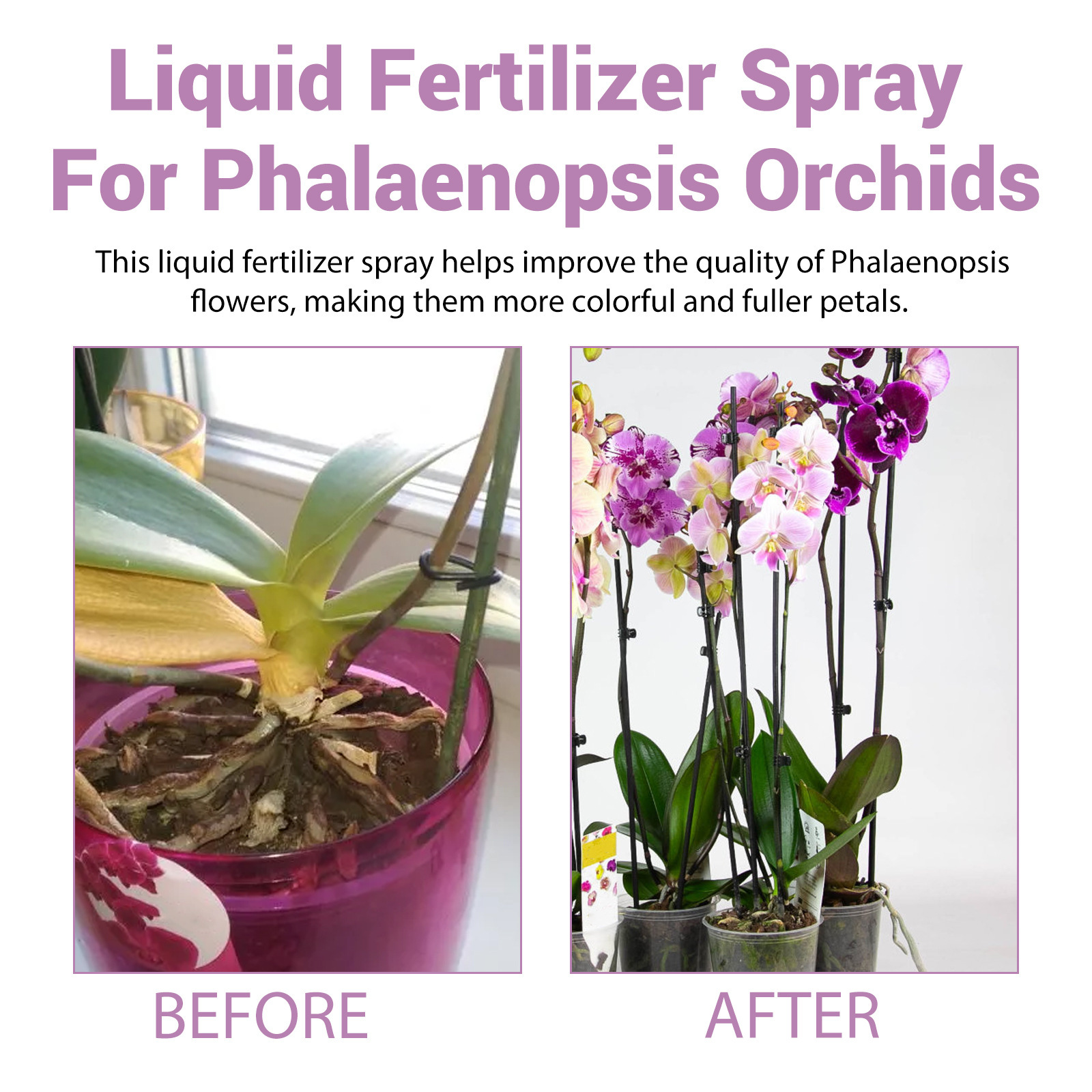 100ml Orchid Bloom Booster Spr - Orchard Sprayer Tractor 리뷰 및 가격