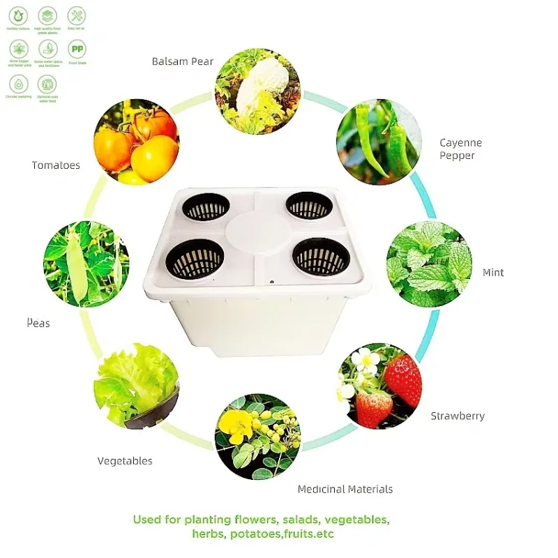 2 Holes 4 Holes Agricultural H - Hydroponic Farming Agriculture 리뷰 및 가격