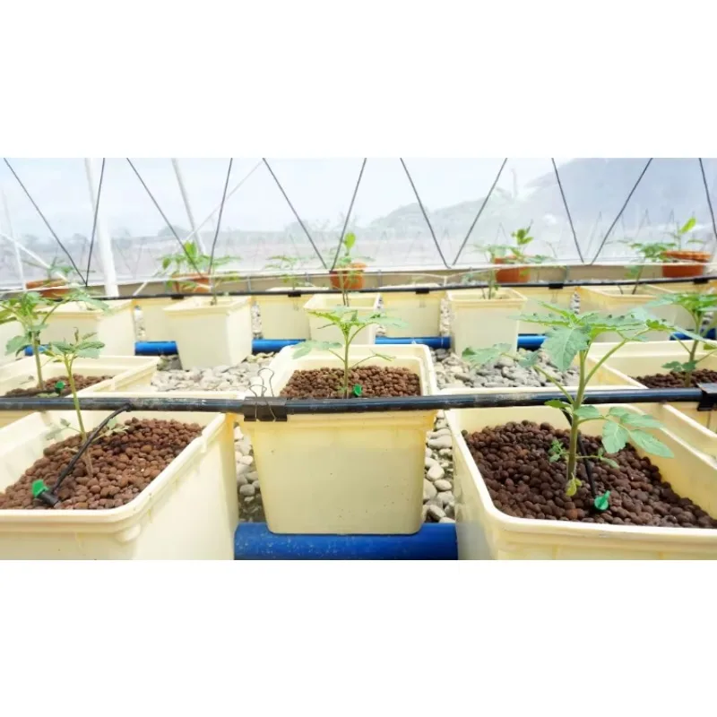 2 Holes 4 Holes Agricultural H - Hydroponic Farming Agriculture 리뷰 및 가격