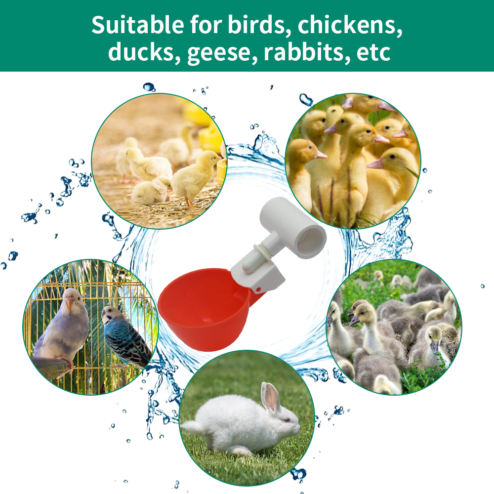 5/10/20Pcs Plastic Poultry Dri - Chicken Nipple Drinker 리뷰 및 가격