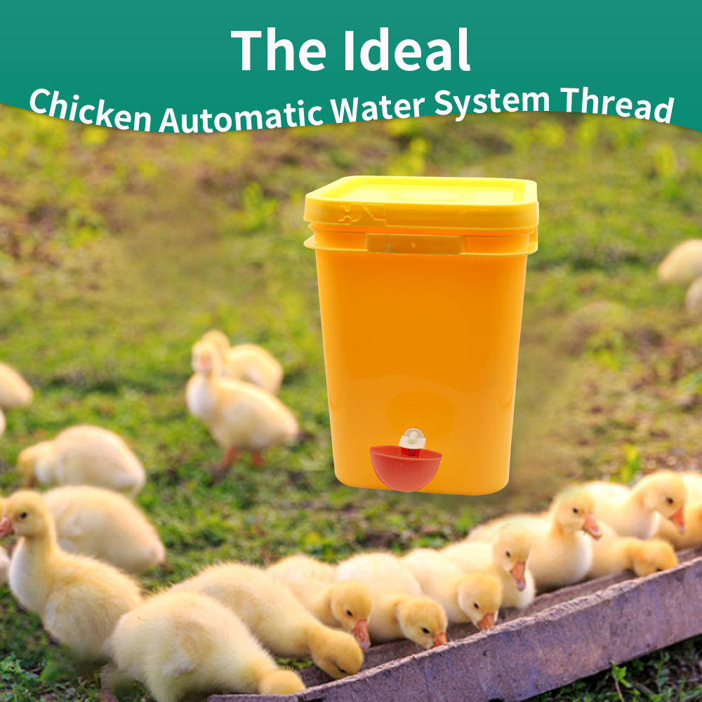 5/10/20Pcs Plastic Poultry Dri - Chicken Nipple Drinker 리뷰 및 가격