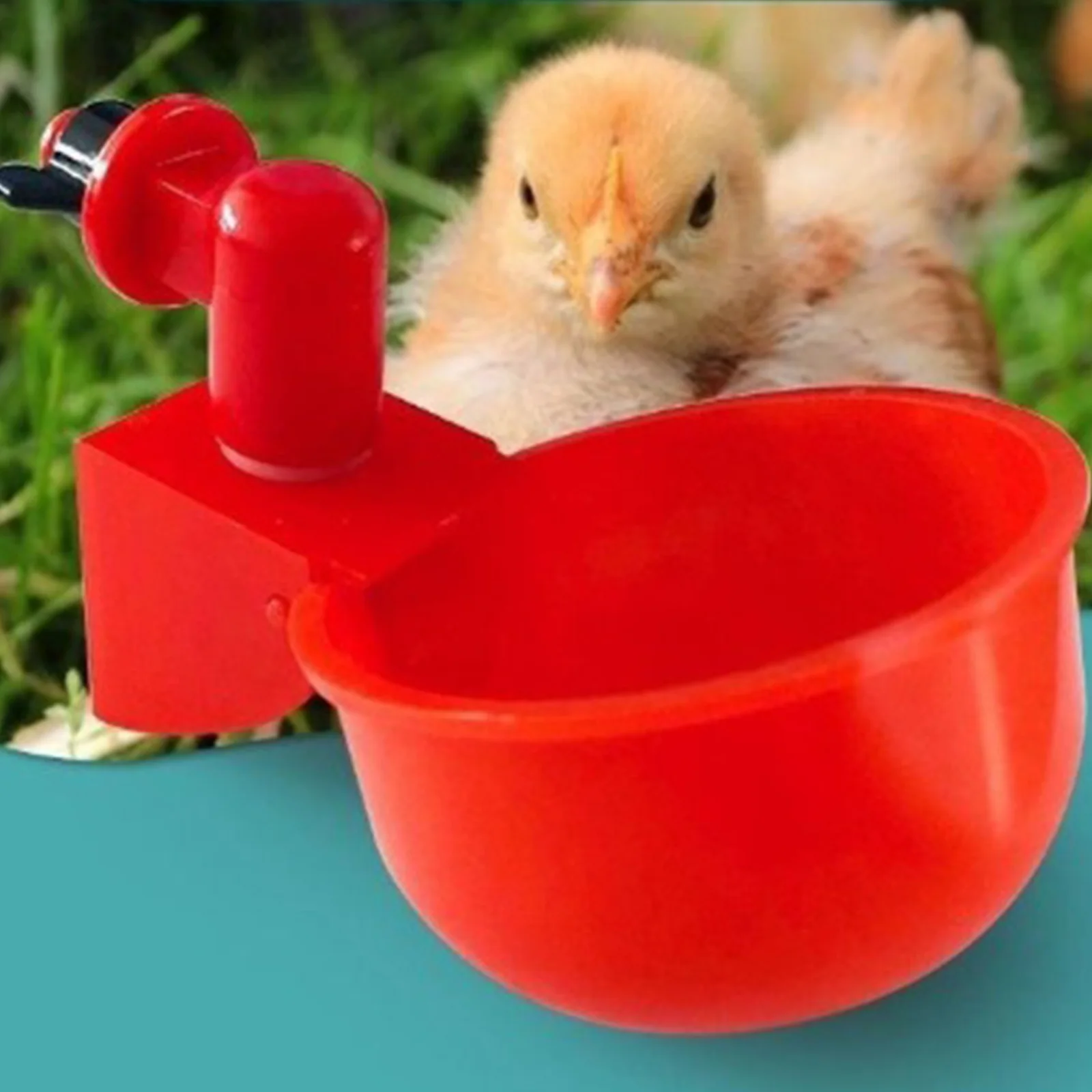 6-36Pcs Chicken Duck Drinking  - Chicken Nipple Drinker 리뷰 및 가격