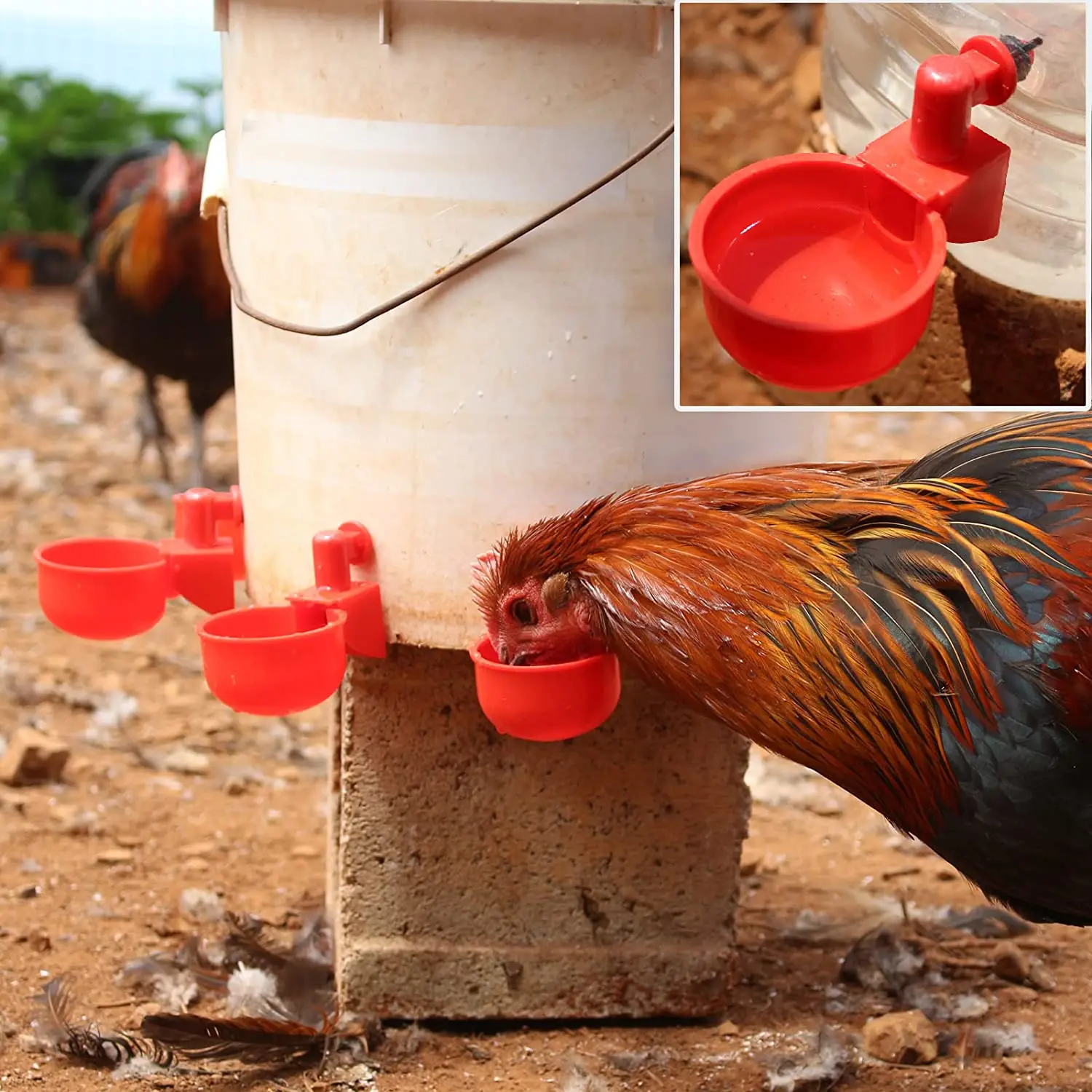 6-36Pcs Chicken Duck Drinking  - Chicken Nipple Drinker 리뷰 및 가격