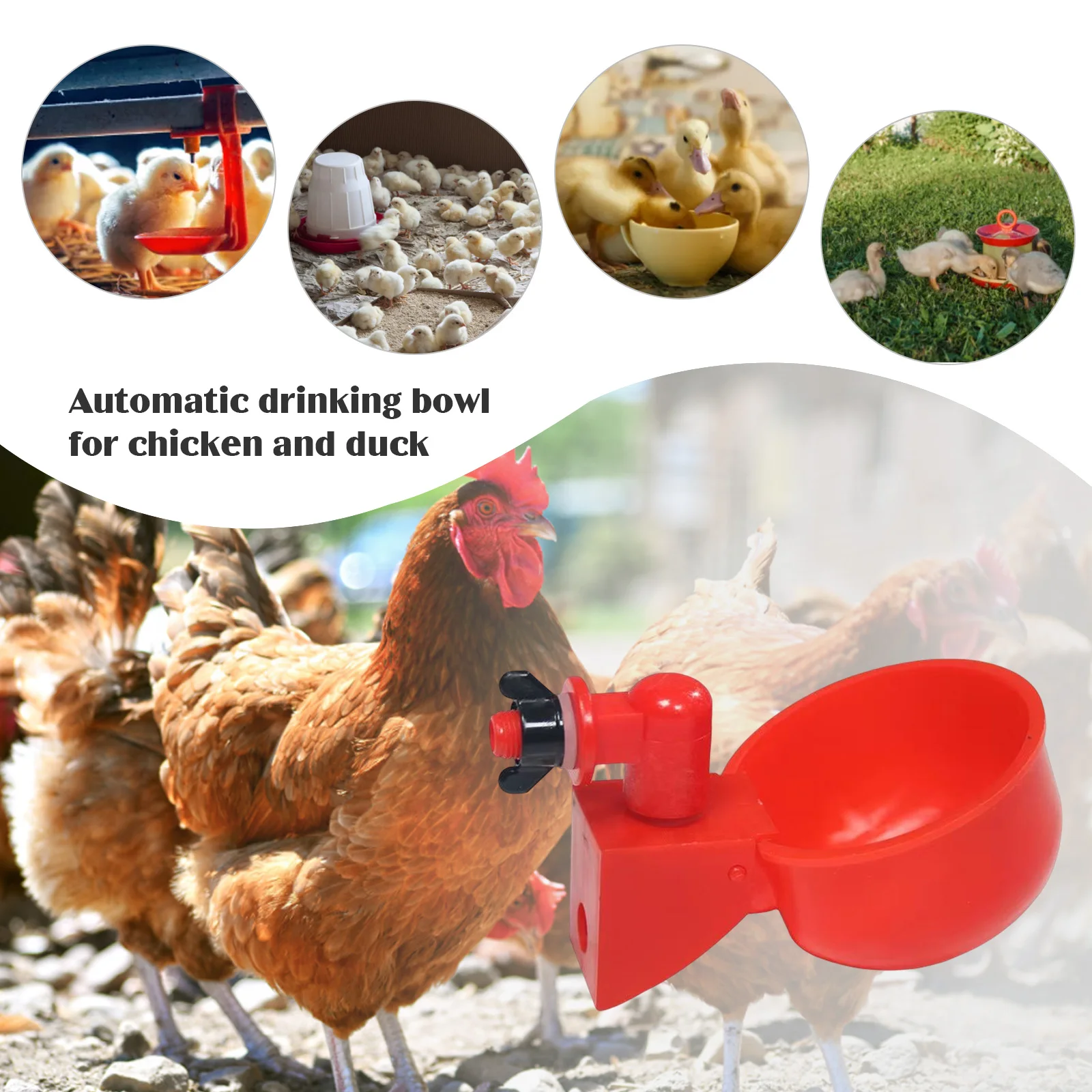 6-36Pcs Chicken Duck Drinking  - Chicken Nipple Drinker 리뷰 및 가격