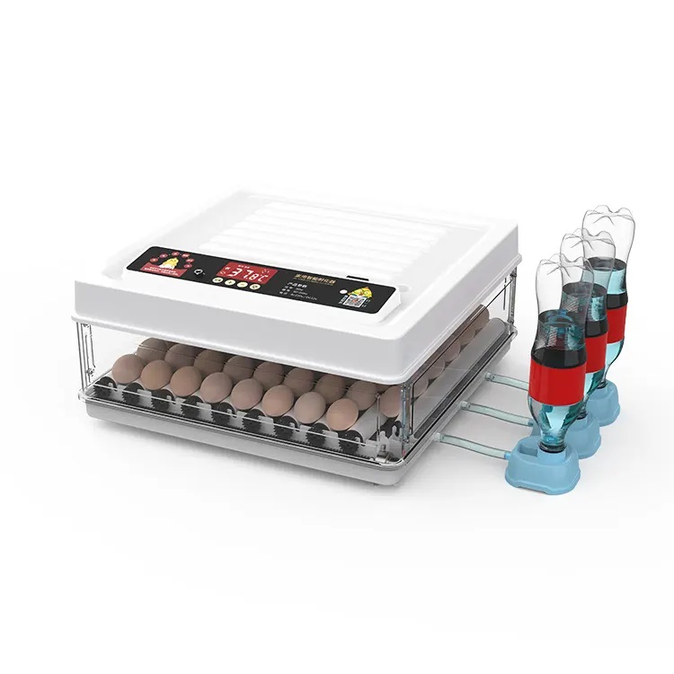 Fully Automatic 130 Capacity E - Quail Egg Incubator 리뷰 및 가격