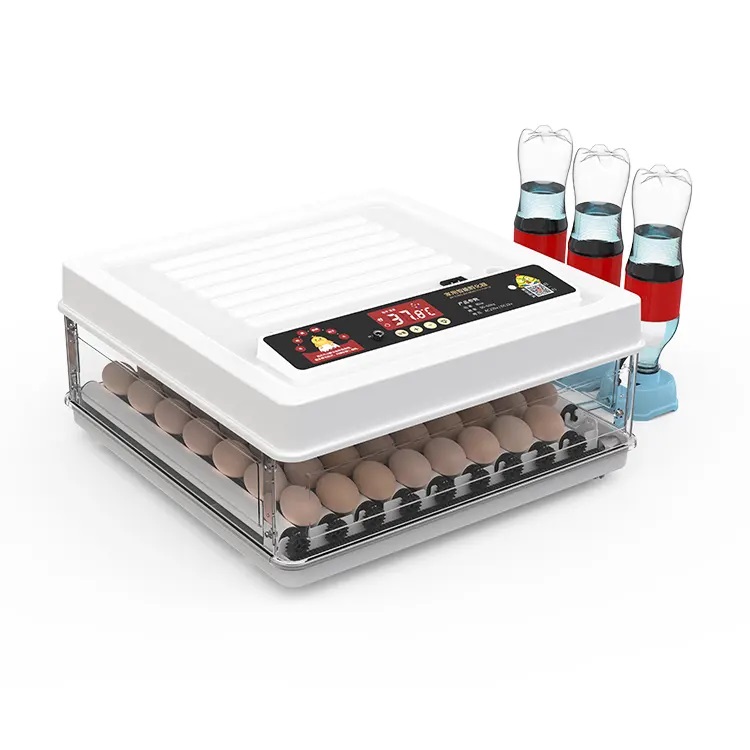 Fully Automatic 130 Capacity E - Quail Egg Incubator 리뷰 및 가격