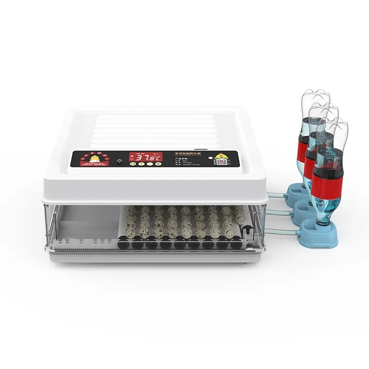 Fully Automatic 130 Capacity E - Quail Egg Incubator 리뷰 및 가격