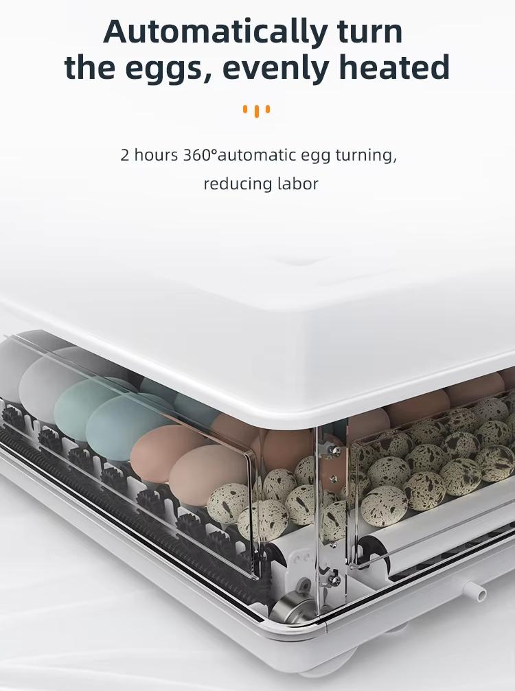 Fully Automatic 130 Capacity E - Quail Egg Incubator 리뷰 및 가격