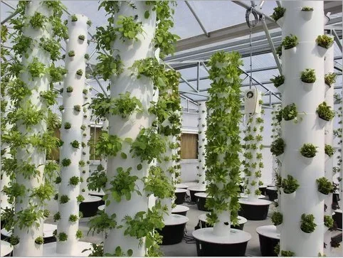 High quality agricultural home - Hydroponic Farming Agriculture 리뷰 및 가격