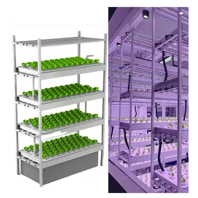 f Greenhouse Agricultural Equi - Hydroponic Farming Agriculture 리뷰 및 가격