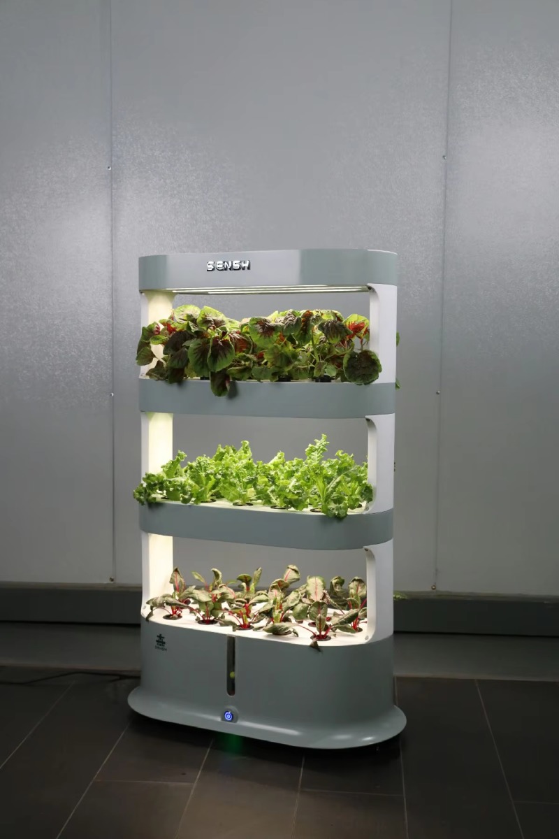Factory Wholesale Unique Farm  - Hydroponic Farming Agriculture 리뷰 및 가격