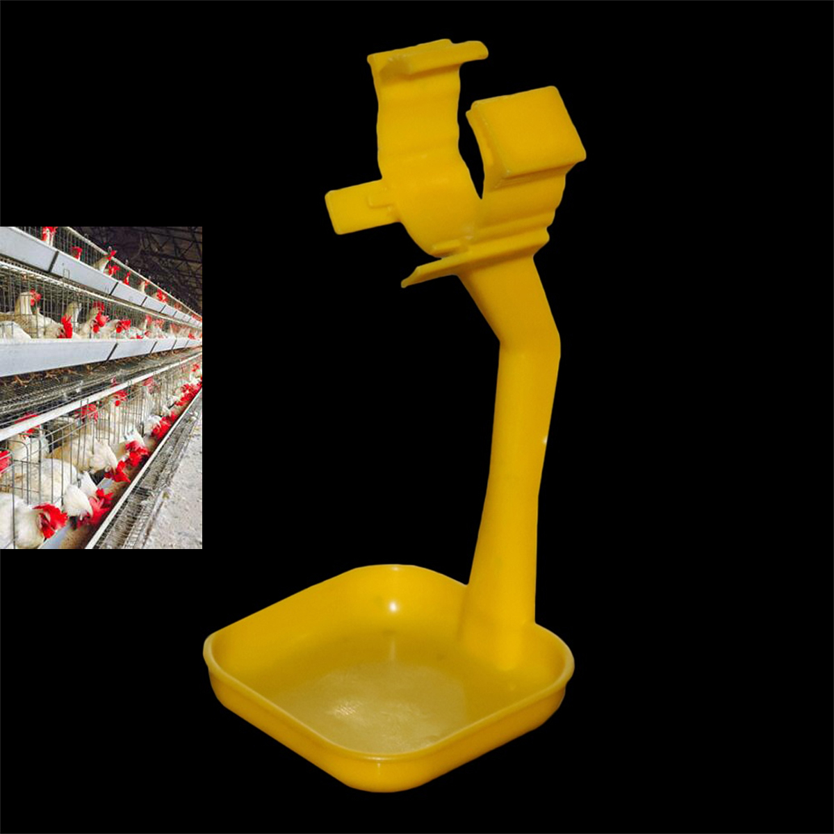 40Pcs Chicken Duck Hanging Cup - Chicken Nipple Drinker 리뷰 및 가격
