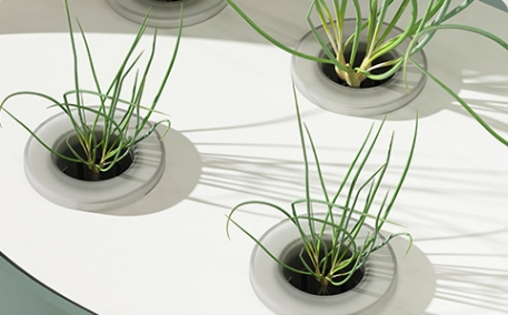 China Quality Agricultural Int - Hydroponic Farming Agriculture 리뷰 및 가격
