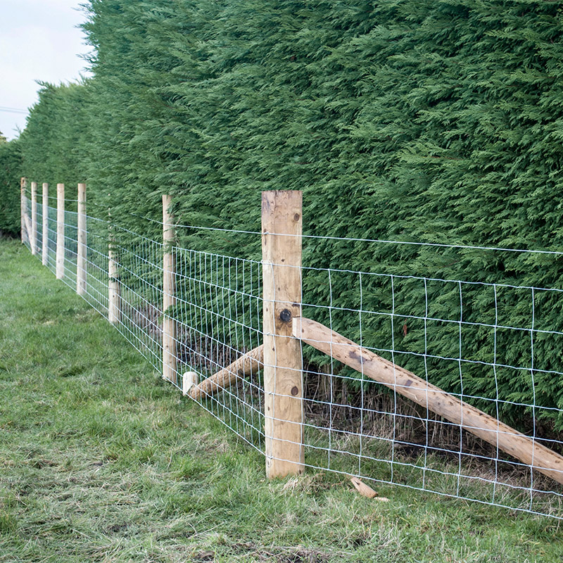 Customized Iron Wire Mesh Fixe - Agriculture Farming And Livestock 리뷰 및 가격