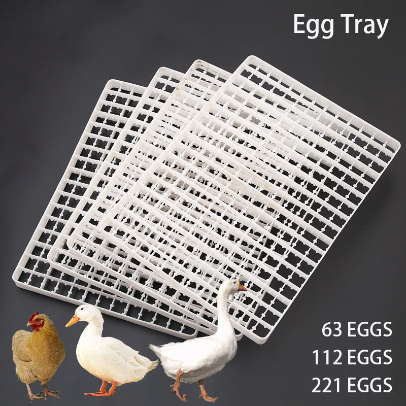 1Pcs Egg Tray For Incubator Au - Quail Egg Incubator 리뷰 및 가격