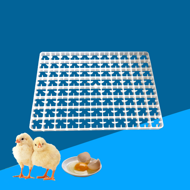 1Pcs Egg Tray For Incubator Au - Quail Egg Incubator 리뷰 및 가격