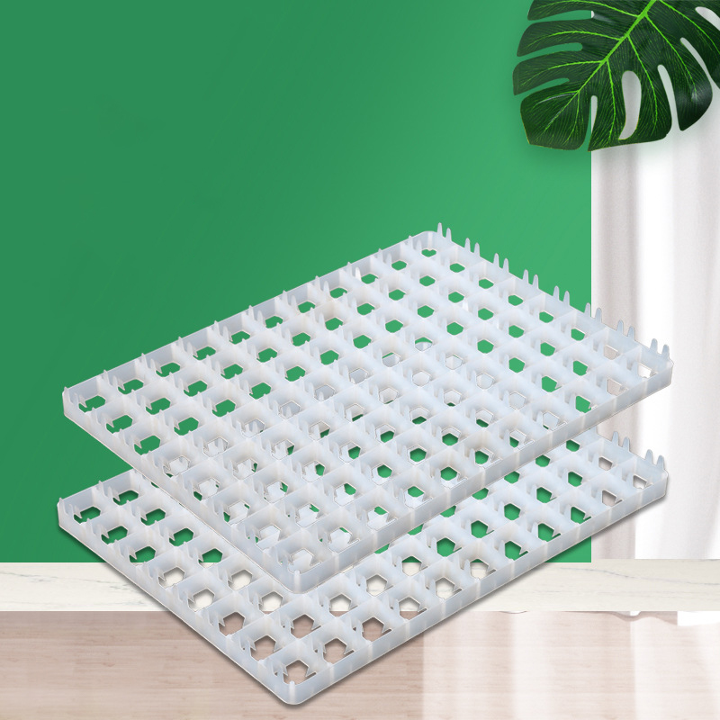 1Pcs Egg Tray For Incubator Au - Quail Egg Incubator 리뷰 및 가격