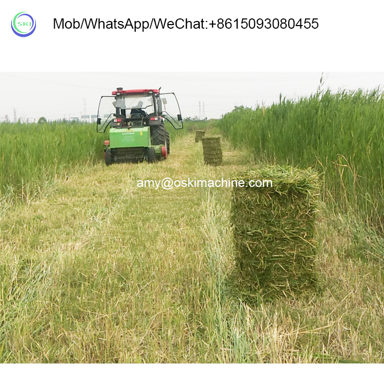 Automatic Silage Packing Bundl - Silage Baler Machine 리뷰 및 가격