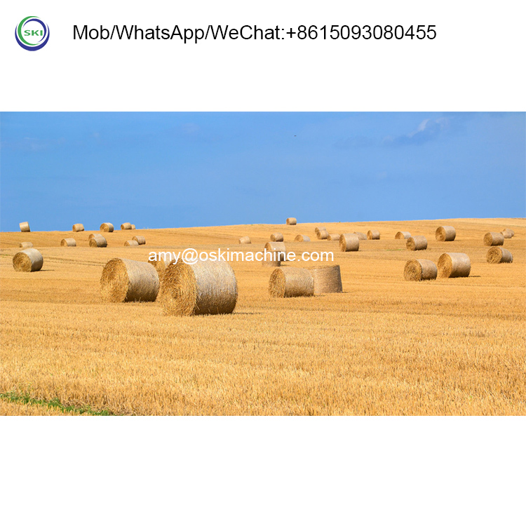 Automatic Silage Packing Bundl - Silage Baler Machine 리뷰 및 가격