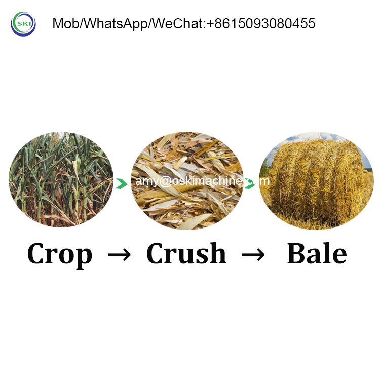 Automatic Silage Packing Bundl - Silage Baler Machine 리뷰 및 가격