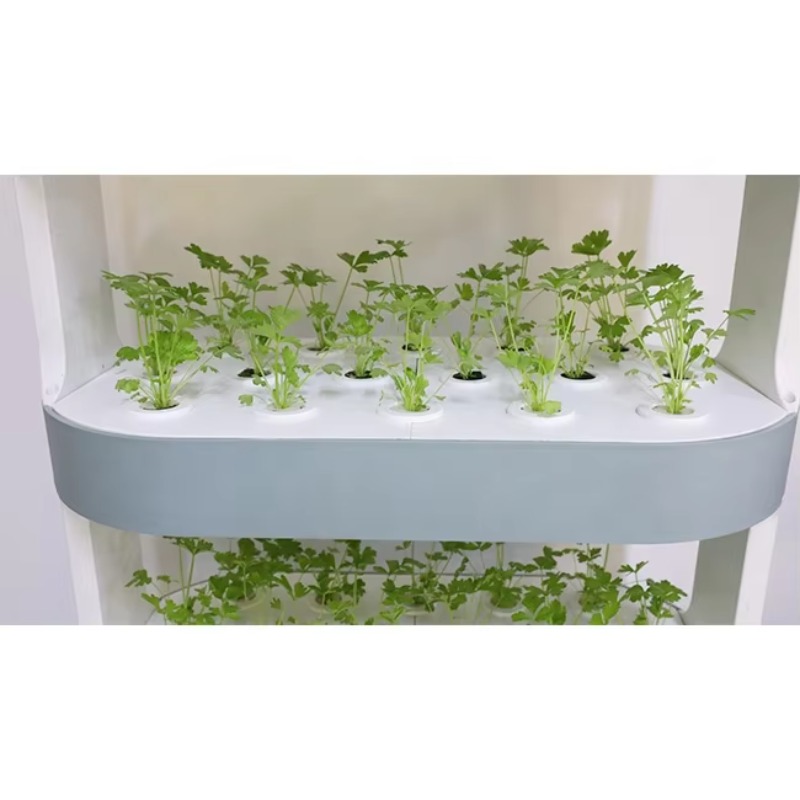 Agricultural Greenhouses Verti - Hydroponic Farming Agriculture 리뷰 및 가격