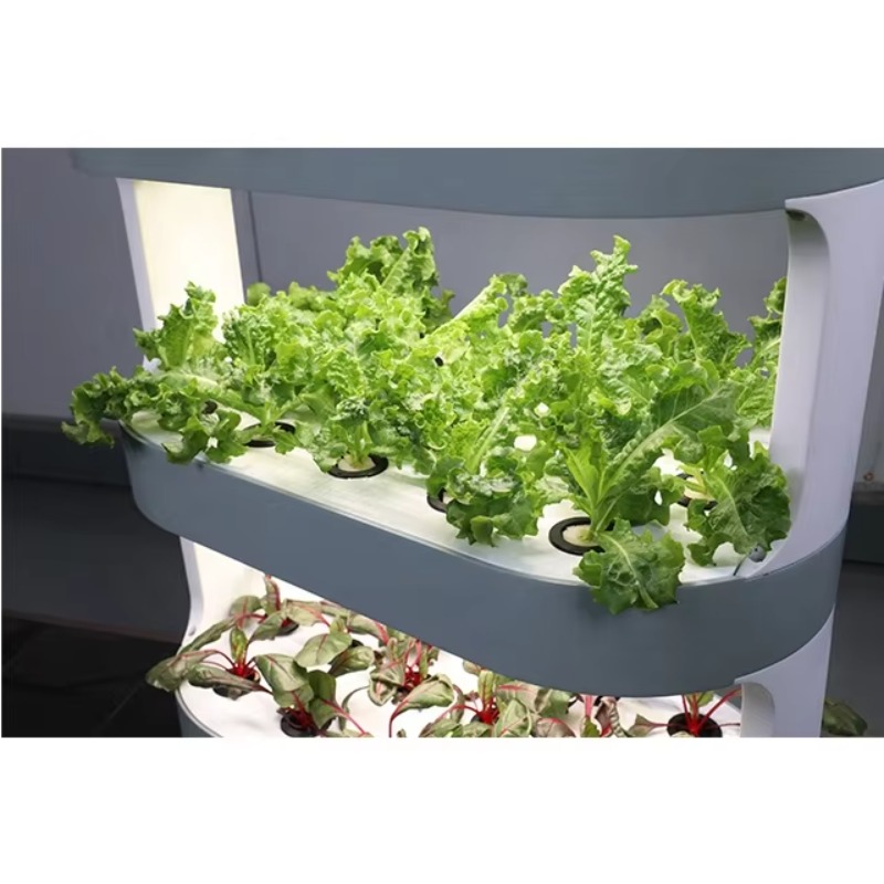 Agricultural Greenhouses Verti - Hydroponic Farming Agriculture 리뷰 및 가격
