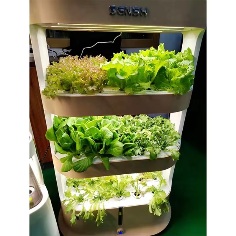 Agricultural Greenhouses Verti - Hydroponic Farming Agriculture 리뷰 및 가격
