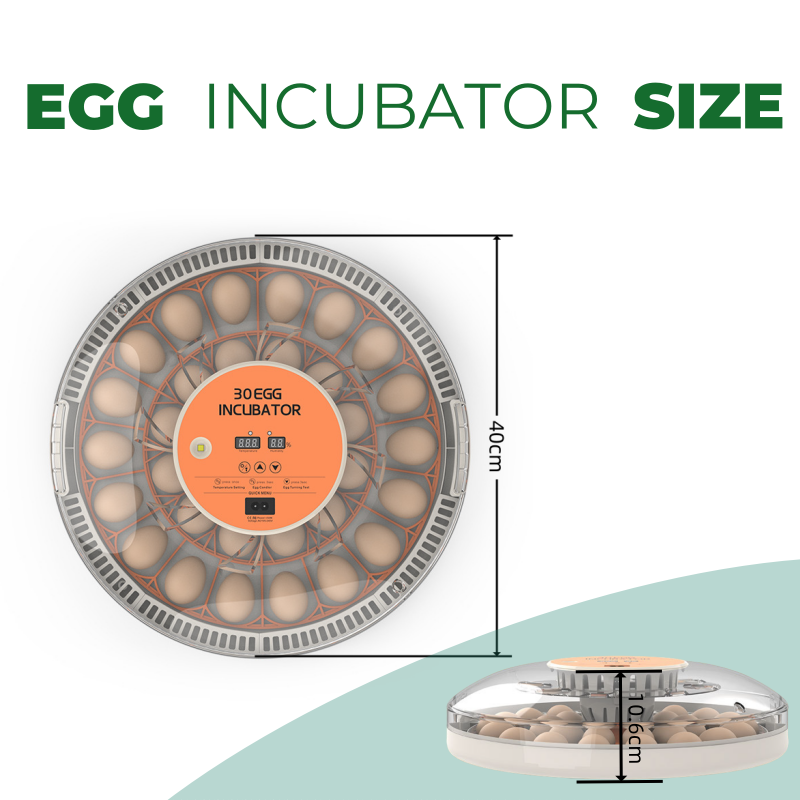STLF30 Eggs Home Use Incubator - Quail Egg Incubator 리뷰 및 가격