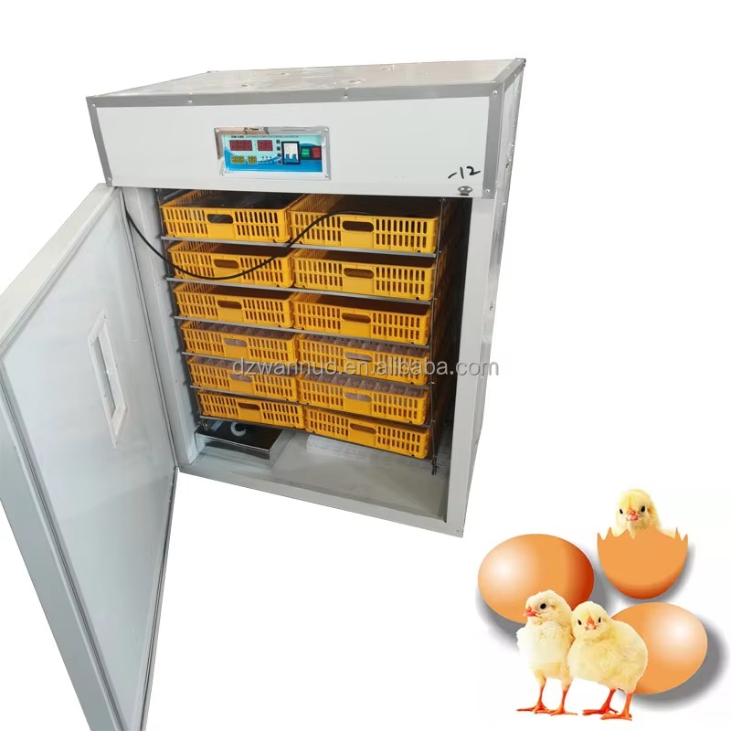 Wholesale New Full-automatic I - Quail Egg Incubator 리뷰 및 가격