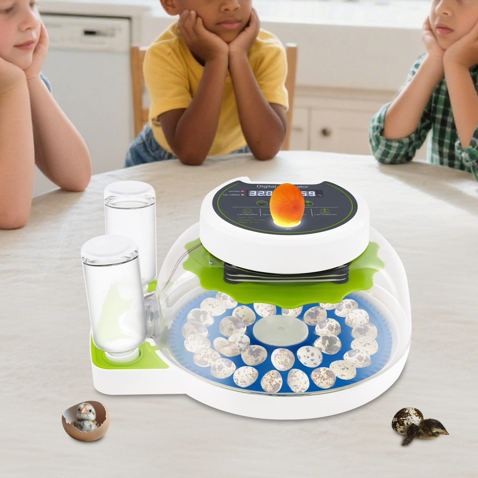 50W 12.2*9.84*6.1in Quail Egg  - Quail Egg Incubator 리뷰 및 가격